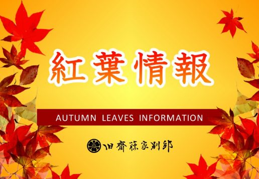 紅葉情報のサムネイル