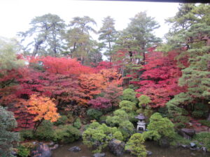 紅葉情報2025（※11/30更新） – 旧齋藤家別邸