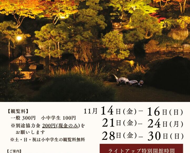 ライトアップチラシ最終0920op-表面のサムネイル